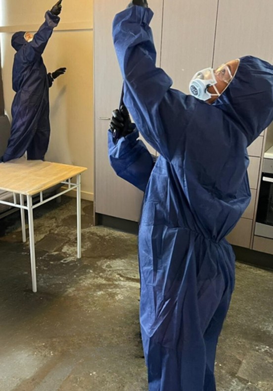 Brisbane Mould Remediation Experts