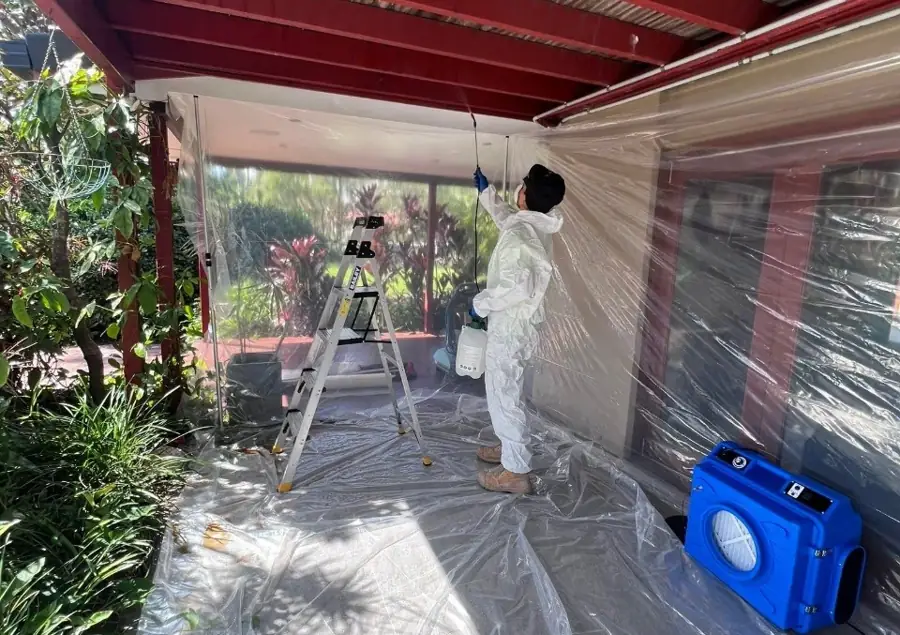 Mould Removal & Remediation in Townsville: Our remediation process, one step at a time