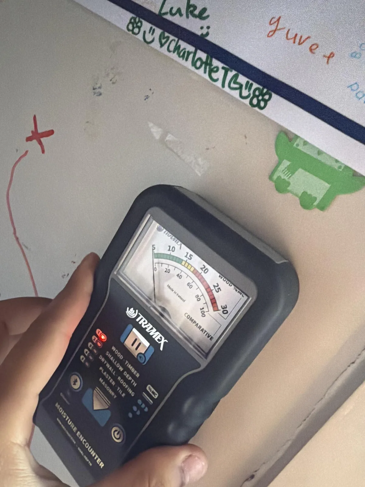 Mould Inspection: How an inspection runs
